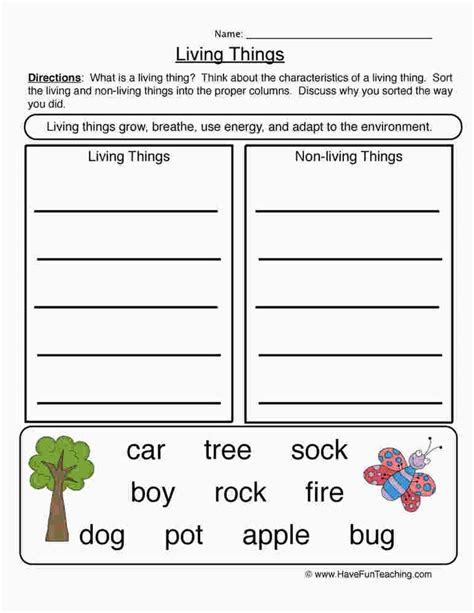 Search Printable 1st Grade Science Handout Worksheets First Grade Science Baseline Worksheet - First Grade Science Baseline Worksheet