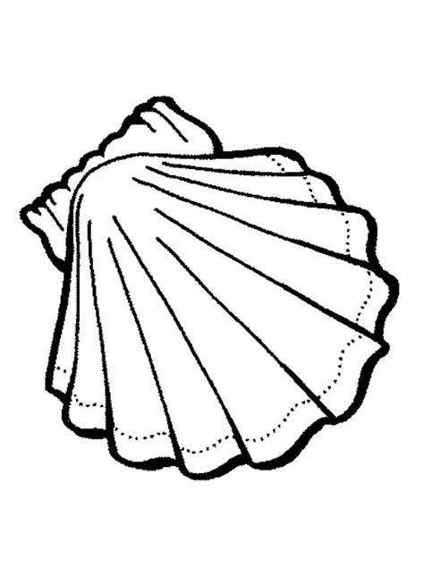 seashell coloring page
