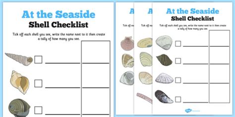 Seashell Identification Worksheet Primary Resource Twinkl Seashell Worksheet Grade 1 - Seashell Worksheet Grade 1