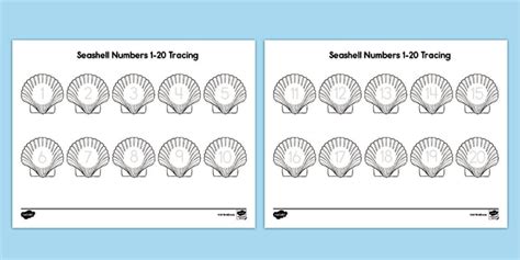 Seashell Numbers 1 20 Tracing Activity Teacher Made Seashell Worksheet Grade 1 - Seashell Worksheet Grade 1