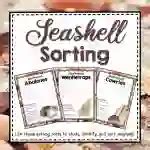Seashell Sorting Worksheet Packet By Teach Simple Seashell Worksheet Grade 1 - Seashell Worksheet Grade 1