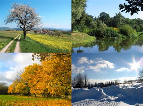 Season Wikipedia Four Seasons Science - Four Seasons Science