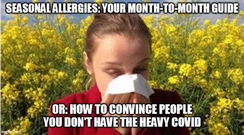 Seasonal Allergies Memes