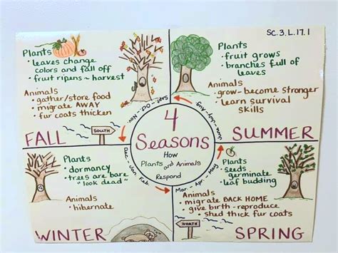 Seasons Of The Year Anchor Charts And Activities Season Chart For Kids - Season Chart For Kids
