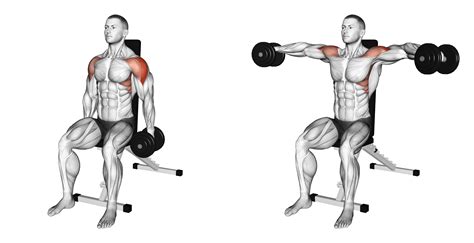 Seated Lateral Raise