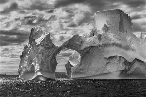 sebastiao salgado genesis