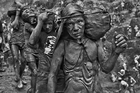 sebastiao salgado gold