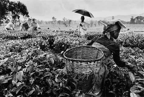 sebastiao salgado rwanda photographs