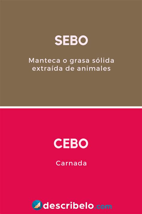 Sebo O Cebo