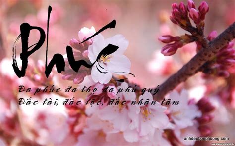 sec thu | Th tng Sc thm chnh thc Vit