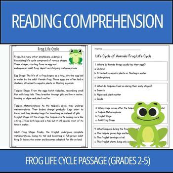 Second Grade Passage Frogs And Toads