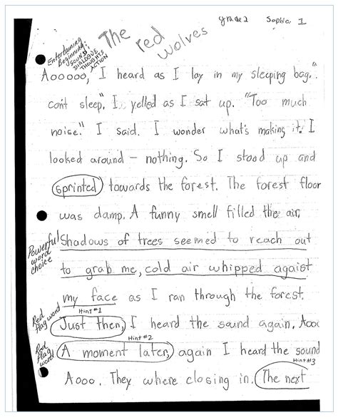 Second Grade Personal Narrative Writing Sample With Prompts Personal Narrative For 2nd Grade - Personal Narrative For 2nd Grade