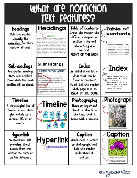 Second Grade Text Feature Articles