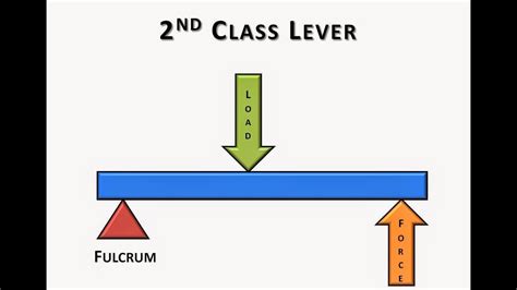 Image related to second-class-lever-formula