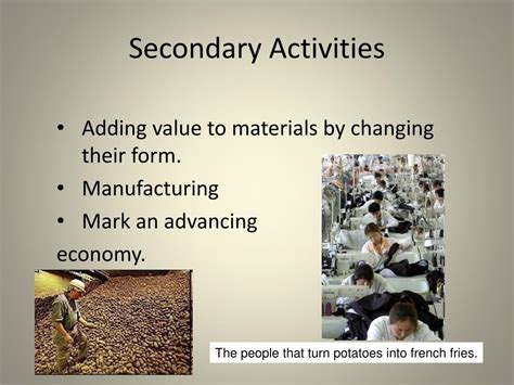 Secondary Activities Examples
