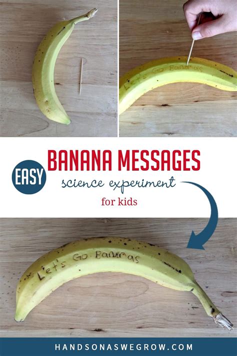 Secret Banana Messages Science At Home For Kids Banana Science Experiment - Banana Science Experiment