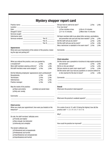 Secret Shopper Report Sample