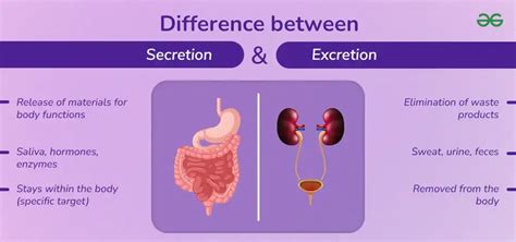 Secretion And Excretion Difference