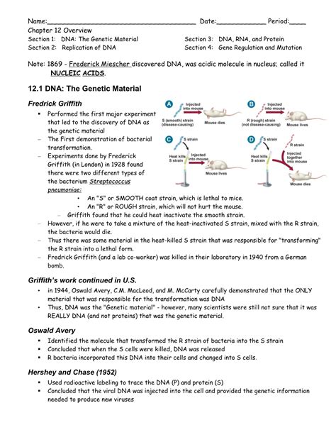 Section 1 Dna Technology Study Guide Answers