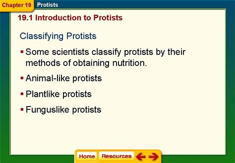 section 1 introduction to protists answer key