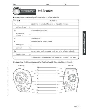 Section 1 Reinforcement Cell Structure Answers Aikangore