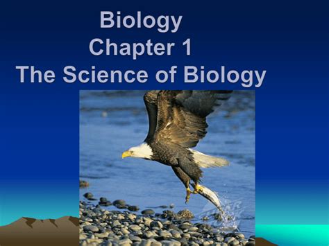 Section 1 The Science Of Biology Nitty Gritty Intro To Life Science - Intro To Life Science
