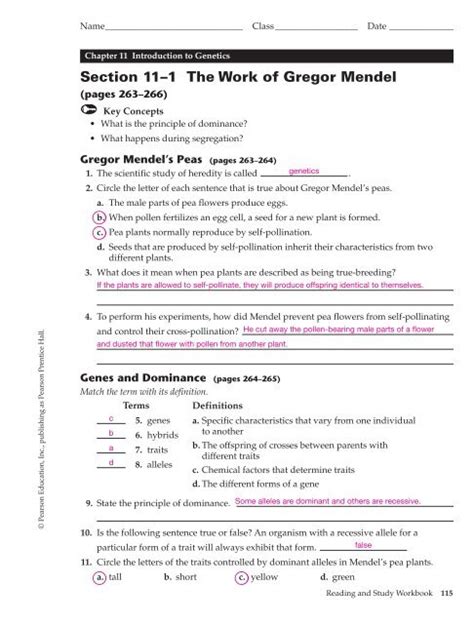 Section 11 1 The Work Of Gregor Mendel Gregor Mendel Worksheet Answers - Gregor Mendel Worksheet Answers
