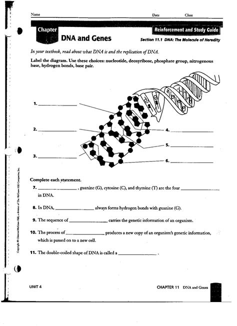 Section 11 2 From Dna To Protein Flashcards Codon Worksheet Answer - Codon Worksheet Answer