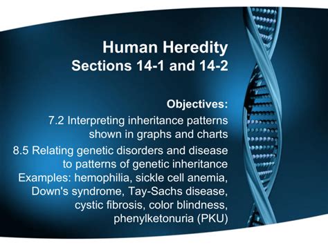 Section 14 1 Human Heredity Answer Key