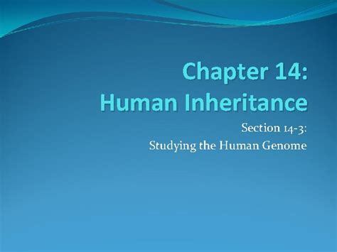 section 14 the human genome vocabulary review