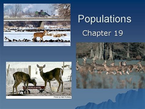 Section 19 1 Understanding Populations Answer