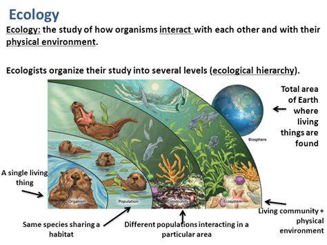 section 2 ecology of organisms answers