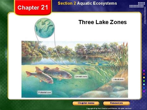 Section 21 2 Aquatic Ecosystems Answers