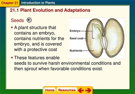 section 21 introduction to plants answer key
