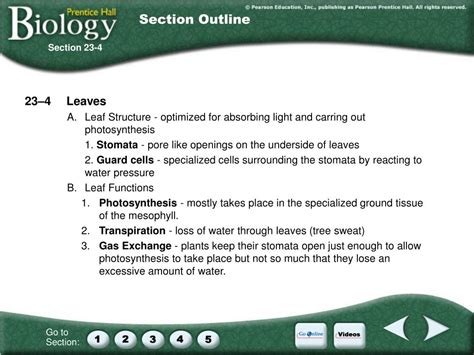 Section 23 4 Leaves Answer Key