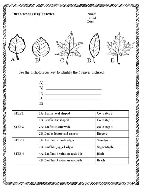 Section 23 Leaves Answer Key