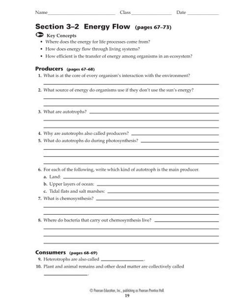 Section 3 2 Energy Flow Answer Key