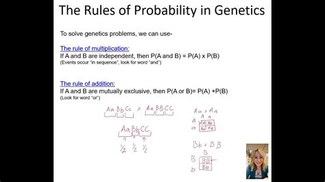 Section 3 2 Probability Genetics Answers