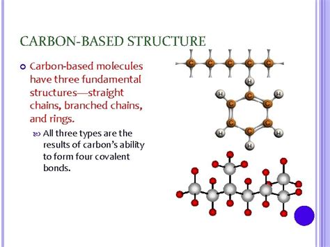 Section 3 Carbon Based Molecules Power Notes