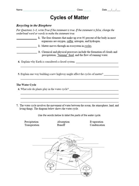 section 3 cycles of matter answers