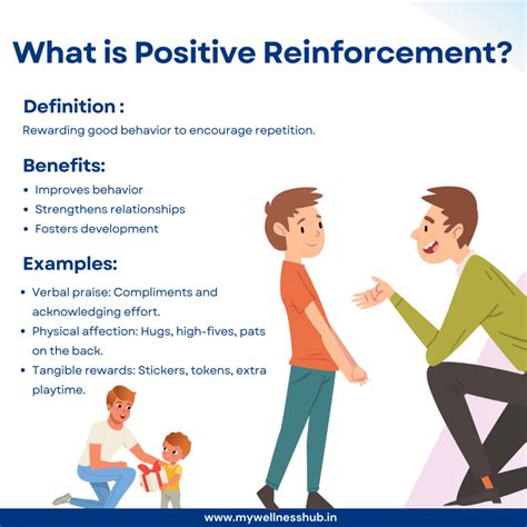 Section 3 Reinforcements Behavior Of Fluids