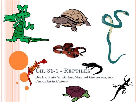 Section 31 1 Reptiles Answer Key