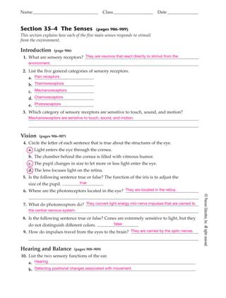 section 35 4 the senses answers