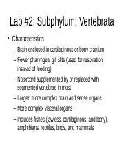 Section 38 2 Review Subphylum Crustacea Answers