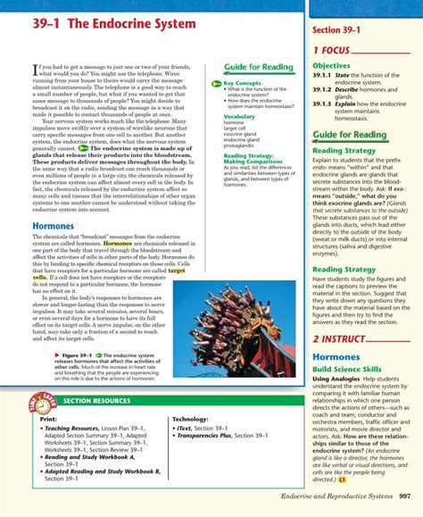 Section 39 1 Endocrine System Answers