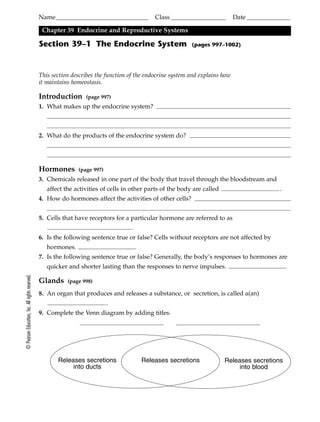 Section 39 1 The Endocrine System Answers