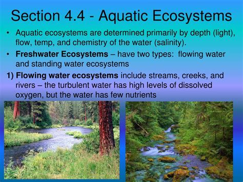 Section 4 4 Aquatic Ecosystems