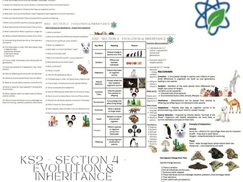 section 4 patterns of evolution answers
