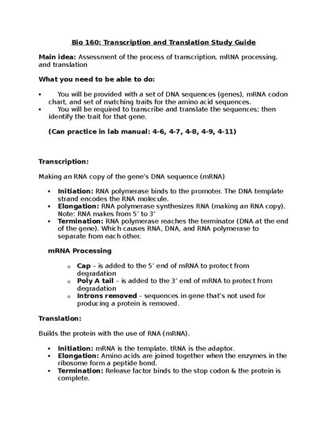 Section 4 Transcription Study Guide Answers