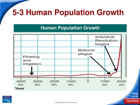 Section 5 3 Human Population Growth Pages 129 132 Answer Key
